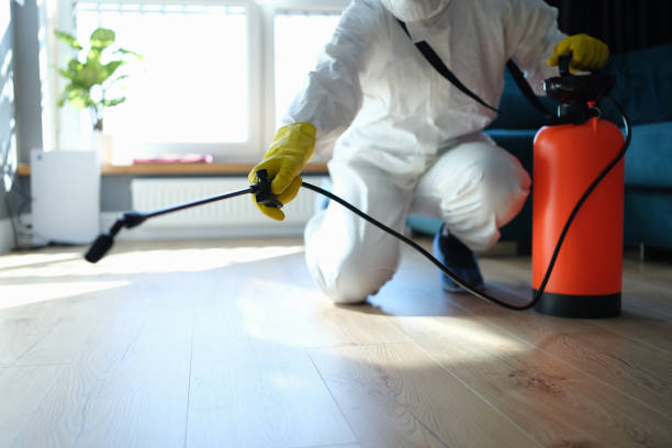 Reliable Odor Removal contractor in Jasper, AR by Crime Scene Cleaner Online