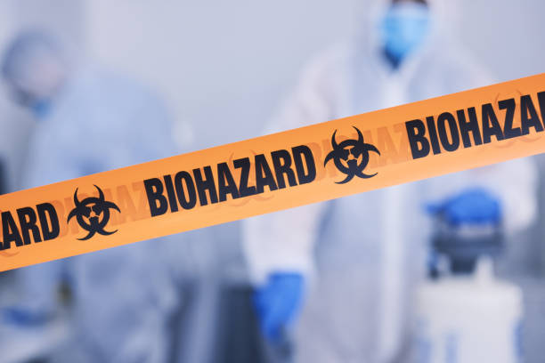 Professional Odor Removal technician working in Jasper, AR